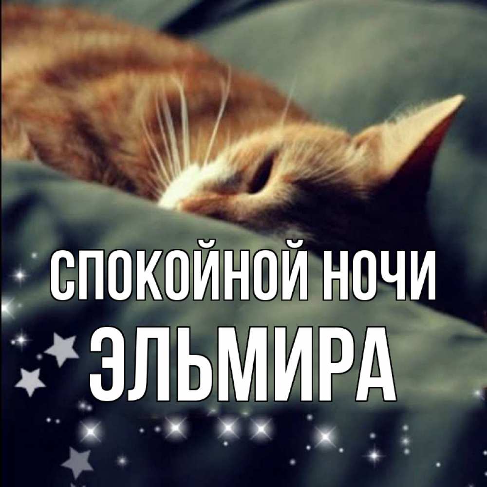 Открытка на каждый день с именем, Эльмира Спокойной ночи кроватка Прикольная открытка с пожеланием онлайн скачать бесплатно 