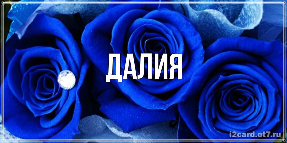 Картинка  с именем , Далия