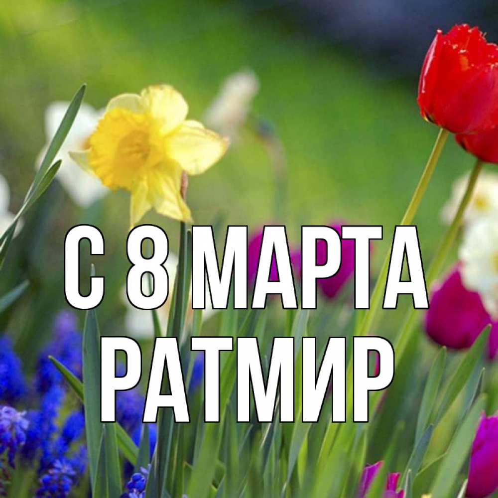 Открытка на каждый день с именем, Ратмир С 8 МАРТА международный женский день 3 Прикольная открытка с пожеланием онлайн скачать бесплатно 