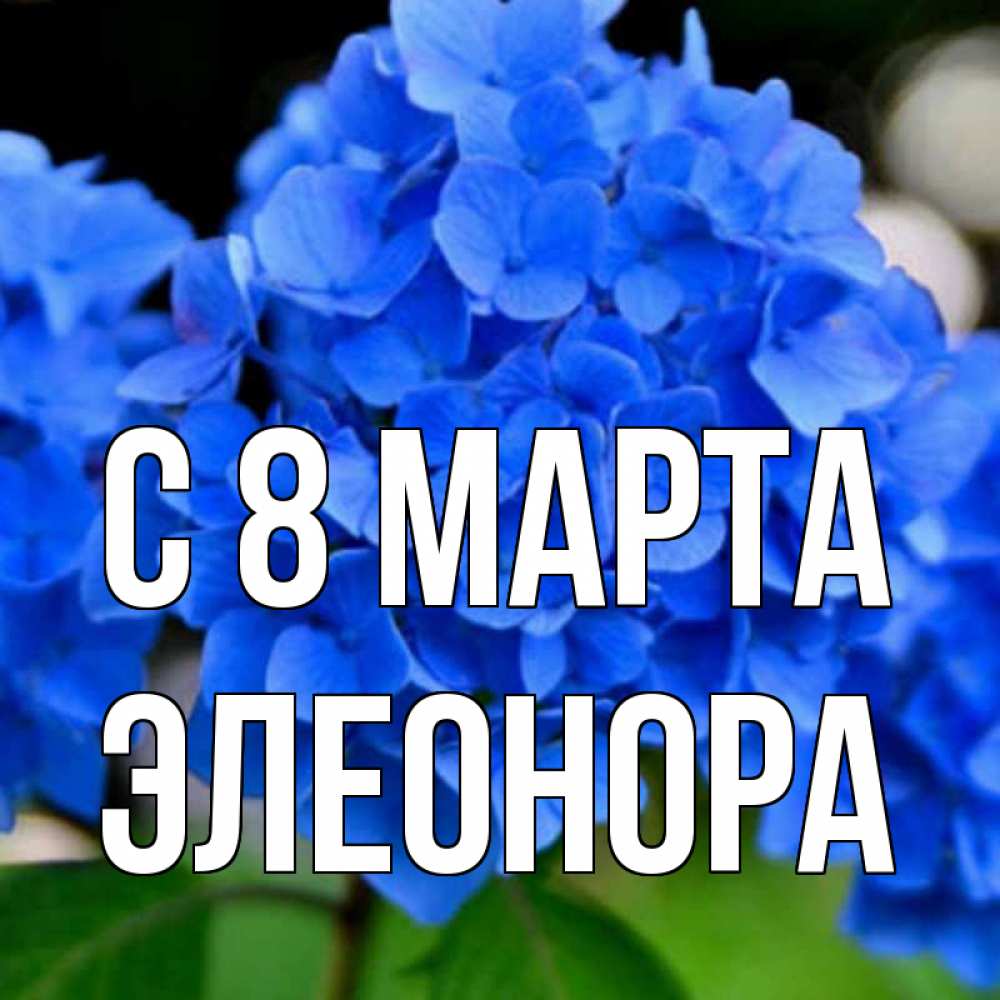 Открытка на каждый день с именем, Элеонора С 8 МАРТА синие цветы Прикольная открытка с пожеланием онлайн скачать бесплатно 