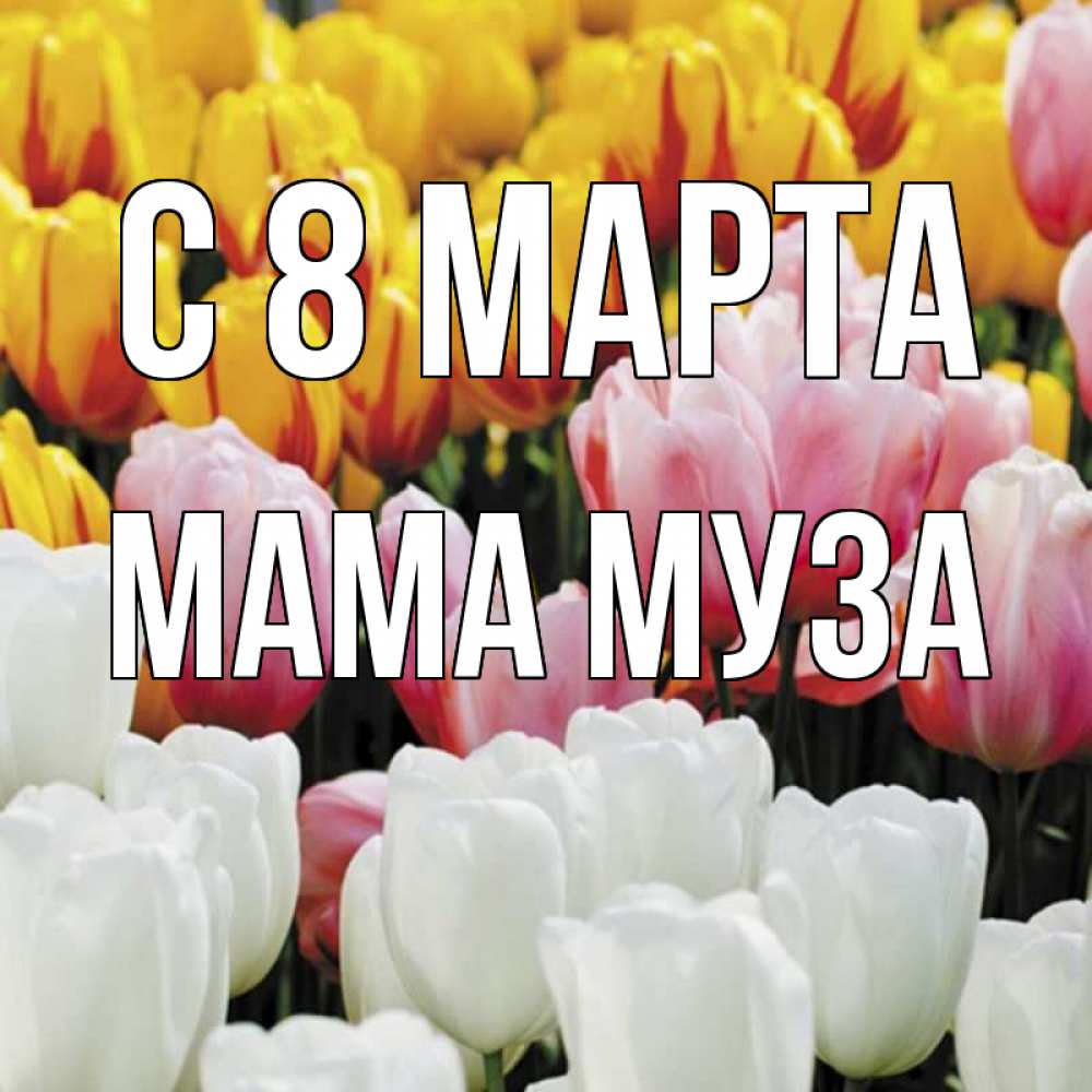 Открытка на каждый день с именем, Мама-Муза С 8 марта разноцветные цветы Прикольная открытка с пожеланием онлайн скачать бесплатно 
