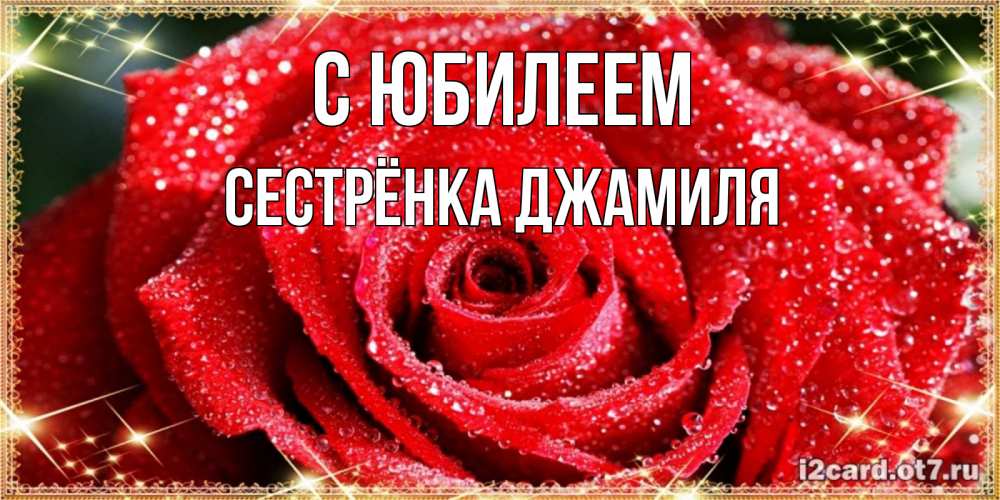 Открытка на каждый день с именем, Сестрёнка-Джамиля С юбилеем роса и роза. открытка с красивой розой Прикольная открытка с пожеланием онлайн скачать бесплатно 