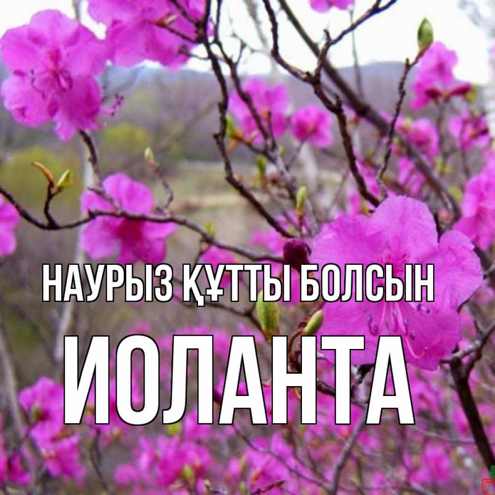 Открытка на каждый день с именем, Иоланта Наурыз құтты болсын наурыз мейрамы кутты болсын Прикольная открытка с пожеланием онлайн скачать бесплатно 