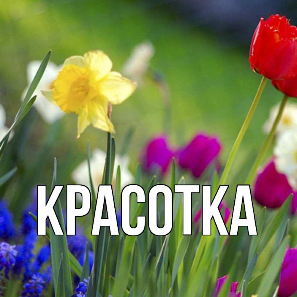 Открытка на каждый день с именем, красотка Главная международный женский день 3 Прикольная открытка с пожеланием онлайн скачать бесплатно 