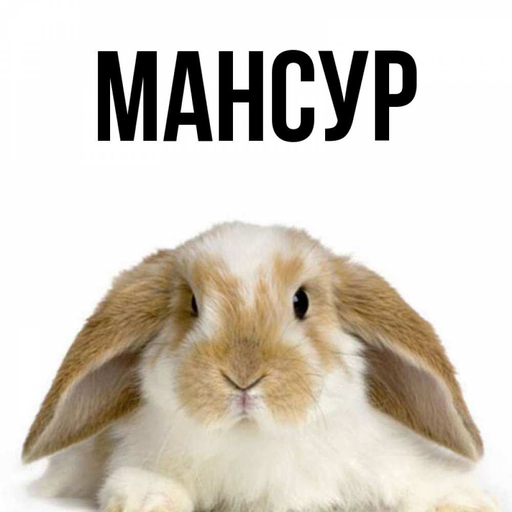 Привет аня картинки