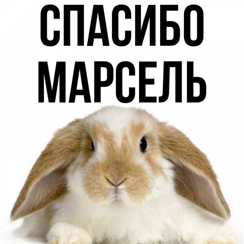 Открытка с именем, МАРСЕЛЬ, Спасибо