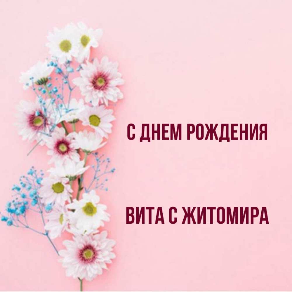 Имя вила