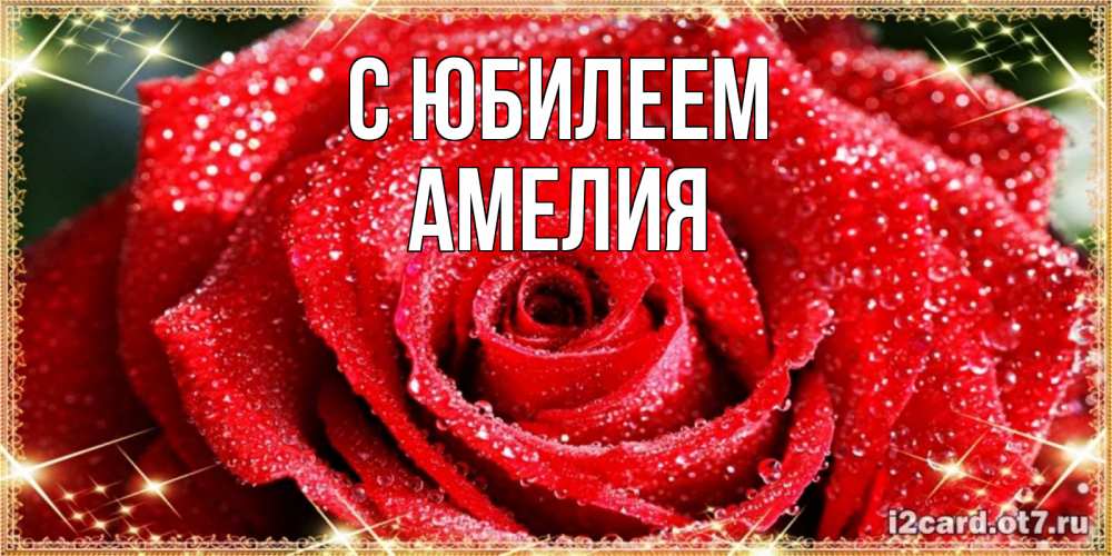 Открытка на каждый день с именем, Амелия С юбилеем роса и роза. открытка с красивой розой Прикольная открытка с пожеланием онлайн скачать бесплатно 