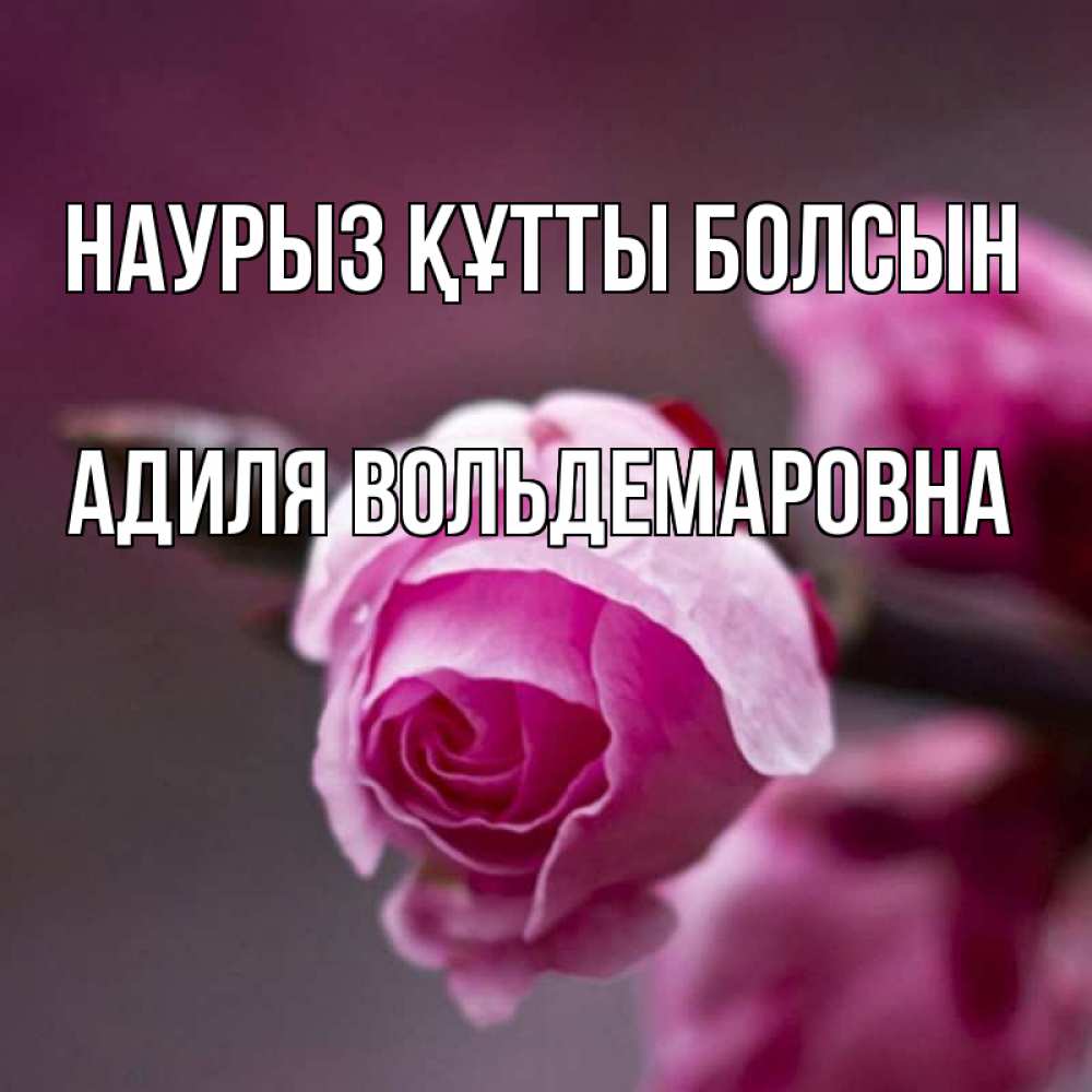 Открытка с именем, Адиля Вольдемаровна, Наурыз құтты болсын