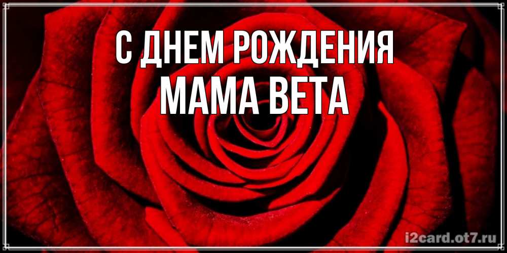 Открытка на каждый день с именем, Мама-Вета С днем рождения алая роза Прикольная открытка с пожеланием онлайн скачать бесплатно 