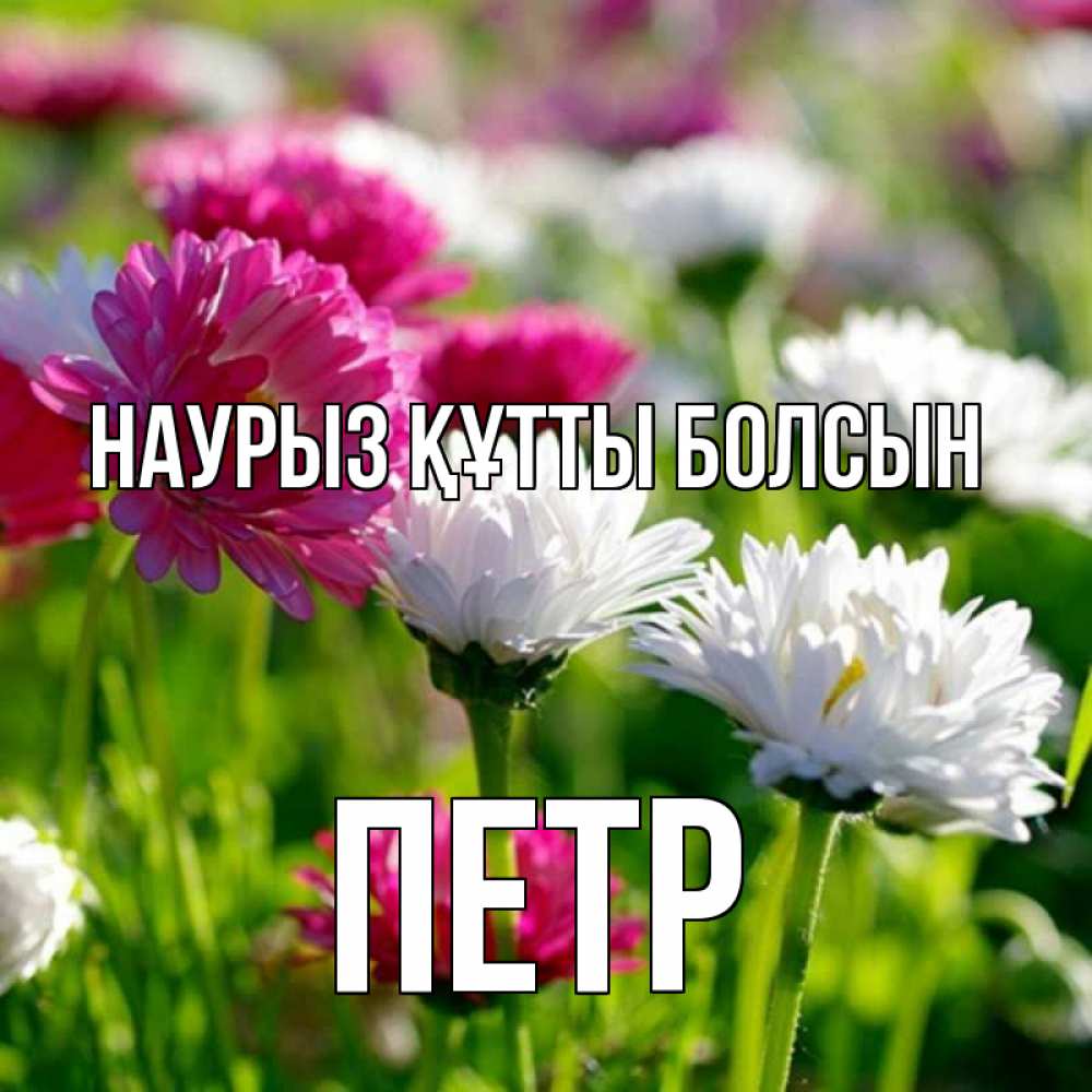 Открытка на каждый день с именем, Петр Наурыз құтты болсын наурыз Прикольная открытка с пожеланием онлайн скачать бесплатно 