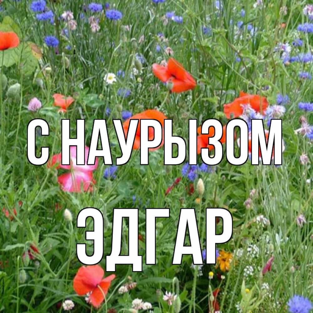 Открытка на каждый день с именем, Эдгар С наурызом праздник весны наурыз супер открытка Прикольная открытка с пожеланием онлайн скачать бесплатно 