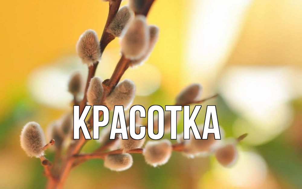 Открытка на каждый день с именем, красотка Главная верба Прикольная открытка с пожеланием онлайн скачать бесплатно 