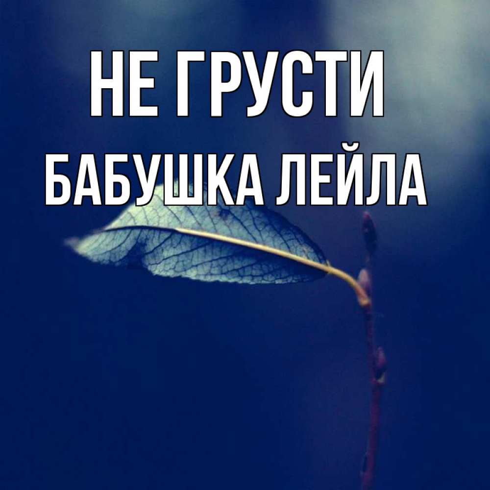 Открытка на каждый день с именем, Бабушка-Лейла Не грусти растение Прикольная открытка с пожеланием онлайн скачать бесплатно 