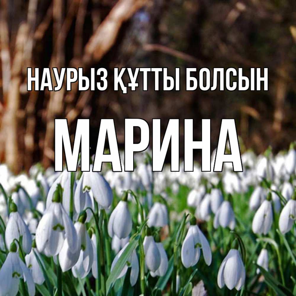 Открытка на каждый день с именем, Марина Наурыз құтты болсын с подснежниками 1 Прикольная открытка с пожеланием онлайн скачать бесплатно 