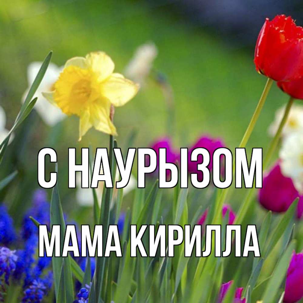 Открытка на каждый день с именем, Мама-Кирилла С наурызом праздник весны наурыз 3 Прикольная открытка с пожеланием онлайн скачать бесплатно 