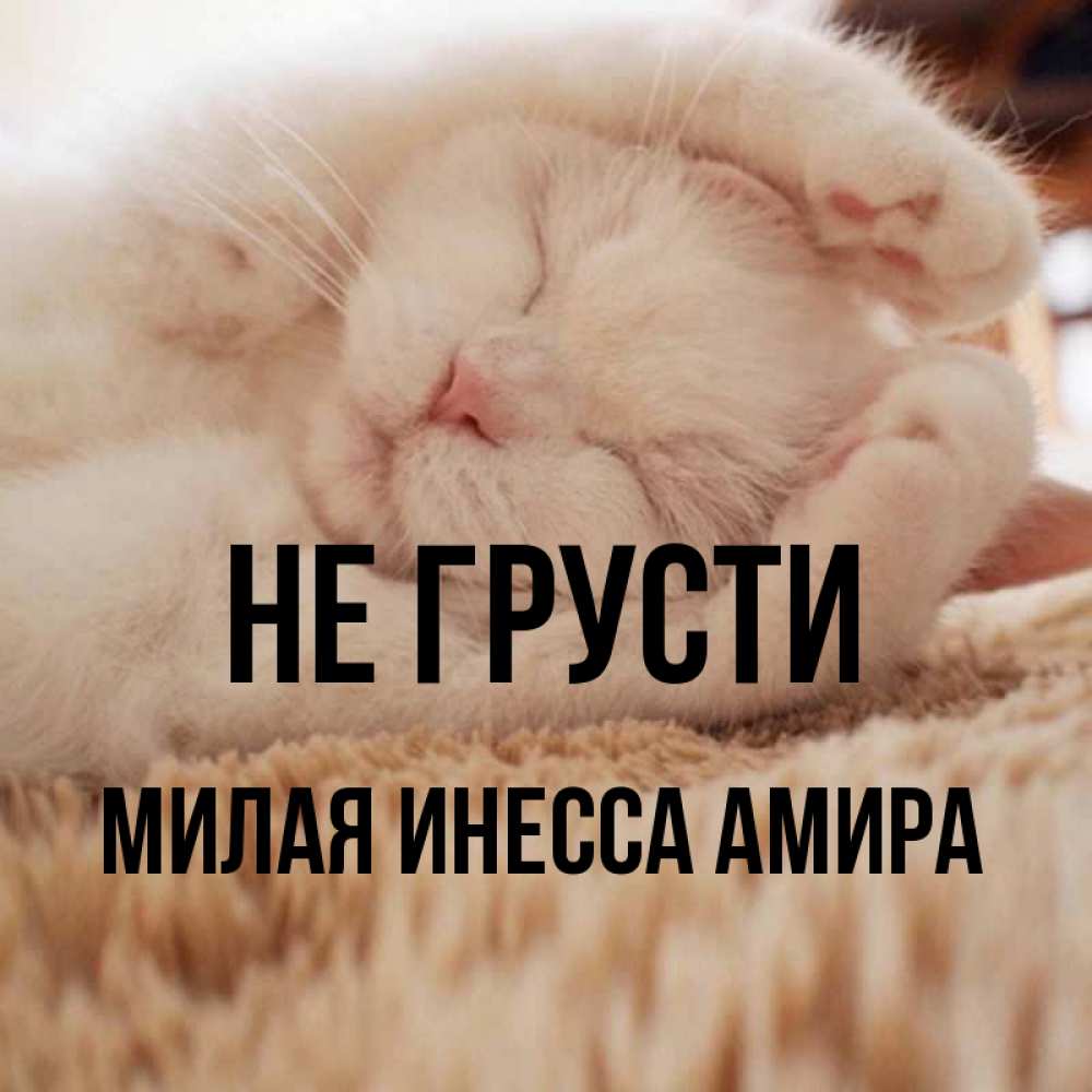 Не грусти милая картинка