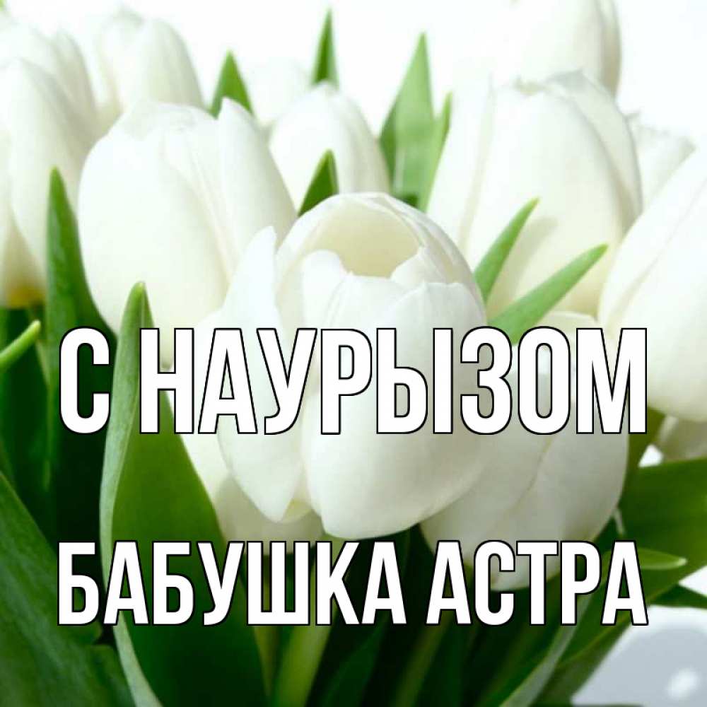 Открытка на каждый день с именем, Бабушка-Астра С наурызом цветы Прикольная открытка с пожеланием онлайн скачать бесплатно 