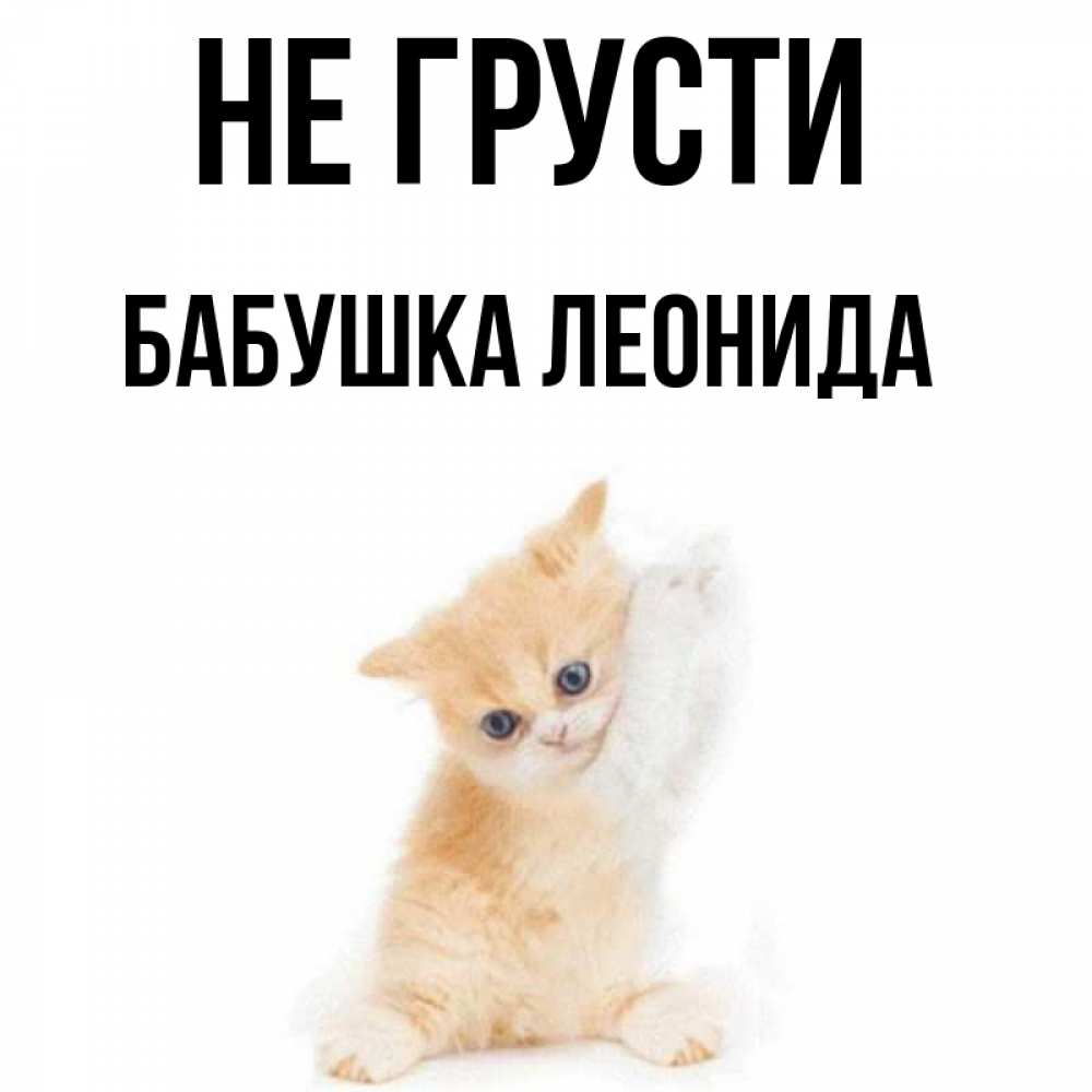 Открытка на каждый день с именем, Бабушка-Леонида Не грусти просящий кот Прикольная открытка с пожеланием онлайн скачать бесплатно 