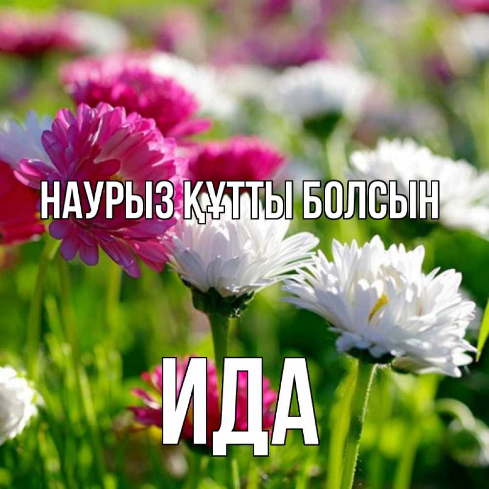 Открытка на каждый день с именем, Ида Наурыз құтты болсын наурыз Прикольная открытка с пожеланием онлайн скачать бесплатно 