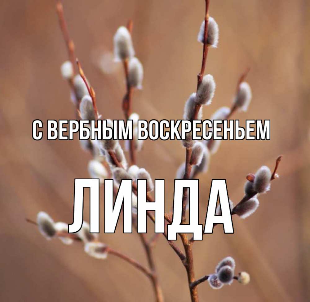 Открытка на каждый день с именем, Линда С вербным воскресеньем верба Прикольная открытка с пожеланием онлайн скачать бесплатно 