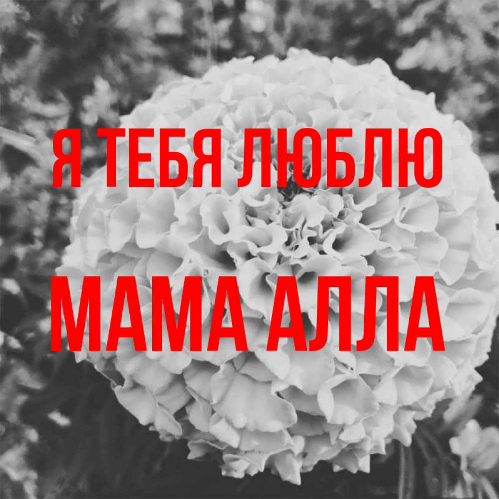 Открытка на каждый день с именем, Мама-Алла Я тебя люблю подпись Прикольная открытка с пожеланием онлайн скачать бесплатно 