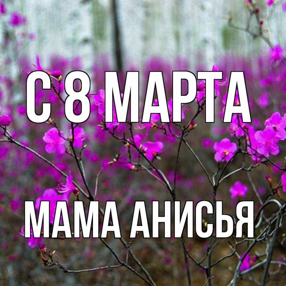 Открытка на каждый день с именем, Мама-Анисья С 8 марта дикие цветы Прикольная открытка с пожеланием онлайн скачать бесплатно 