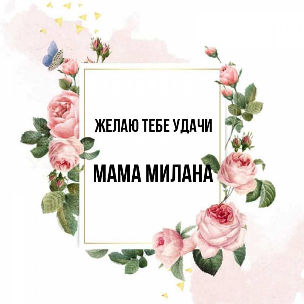 Открытка на каждый день с именем, Мама-Милана Желаю тебе удачи розовые розы Прикольная открытка с пожеланием онлайн скачать бесплатно 
