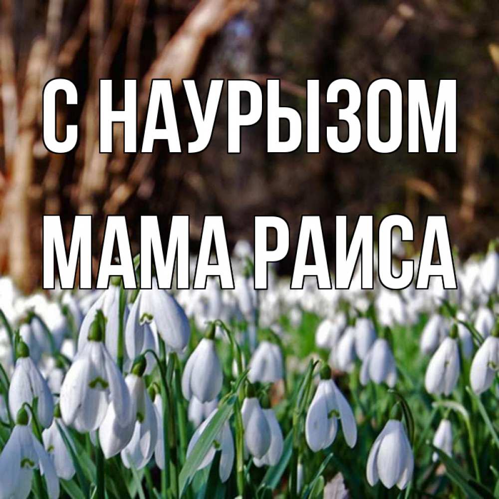 Открытка на каждый день с именем, Мама-Раиса С наурызом с подснежниками 1 Прикольная открытка с пожеланием онлайн скачать бесплатно 