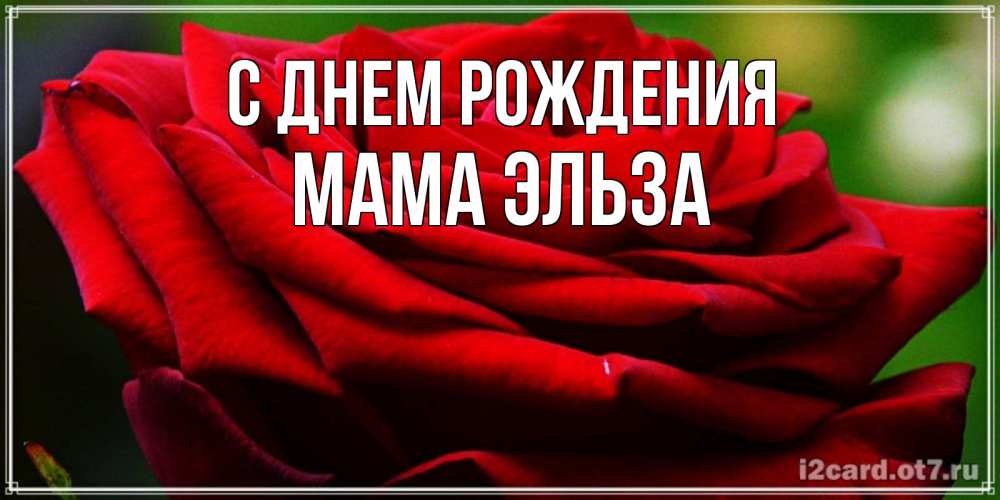 Открытка на каждый день с именем, Мама-Эльза С днем рождения розочка очень красивая Прикольная открытка с пожеланием онлайн скачать бесплатно 