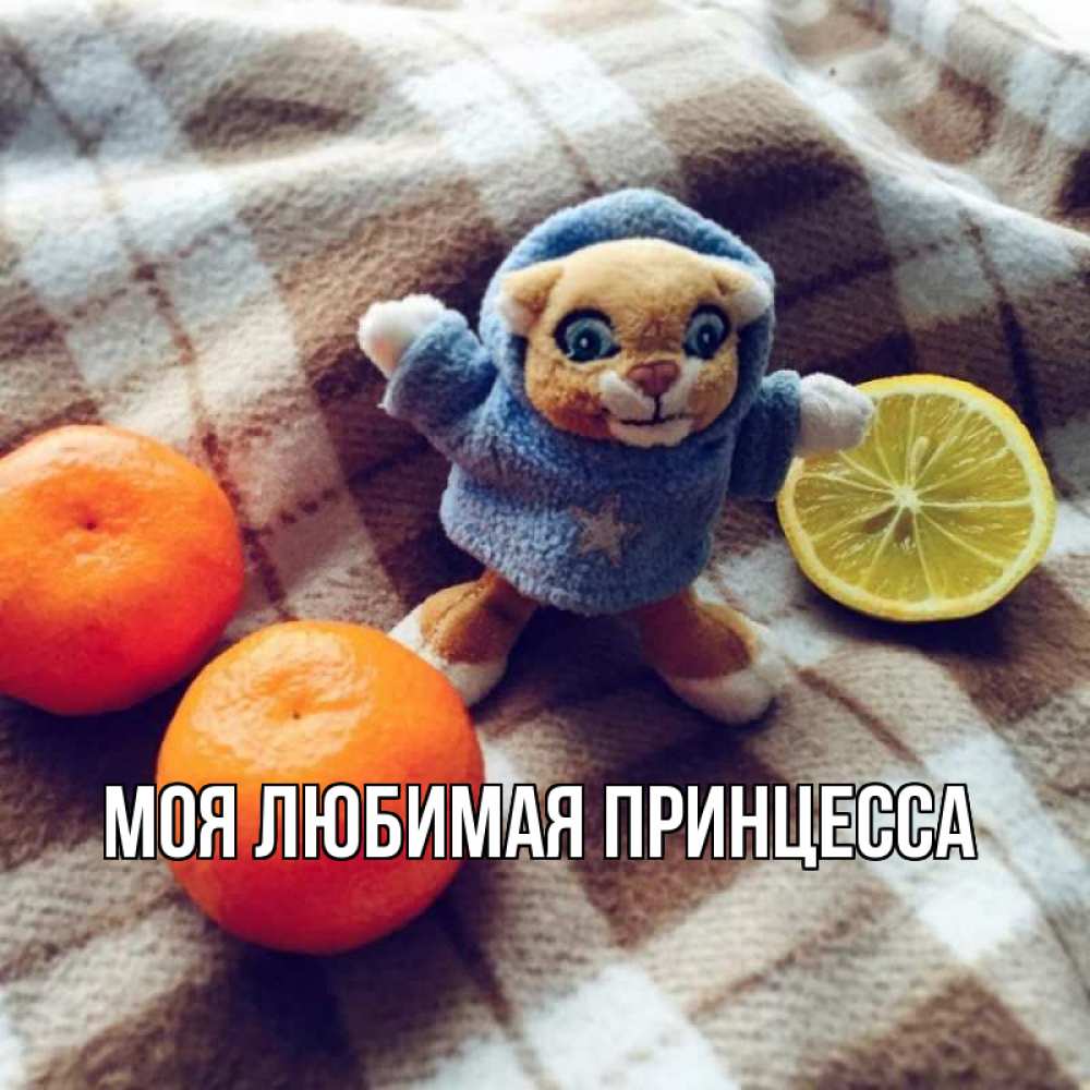 Открытка на каждый день с именем, Моя-Любимая-Принцесса Главная вот тебе апельсинка и лимон Прикольная открытка с пожеланием онлайн скачать бесплатно 