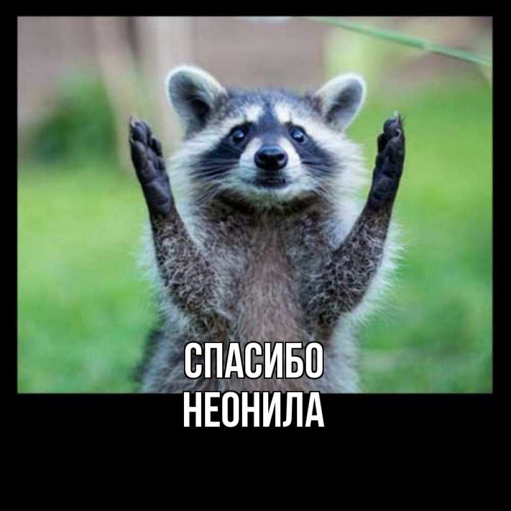 Открытка на каждый день с именем, Неонила Спасибо милые животные Прикольная открытка с пожеланием онлайн скачать бесплатно 
