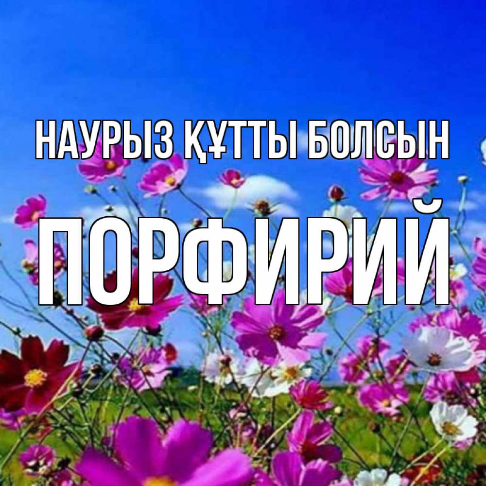 Открытка на каждый день с именем, Порфирий Наурыз құтты болсын цветы Прикольная открытка с пожеланием онлайн скачать бесплатно 