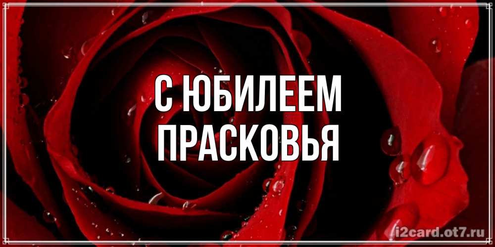 Открытка на каждый день с именем, Прасковья С юбилеем крупная бордовая роза Прикольная открытка с пожеланием онлайн скачать бесплатно 