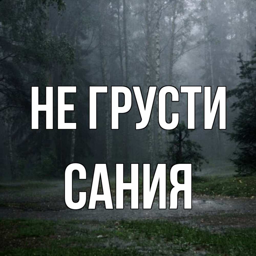 Открытка на каждый день с именем, Сания Не грусти осень Прикольная открытка с пожеланием онлайн скачать бесплатно 