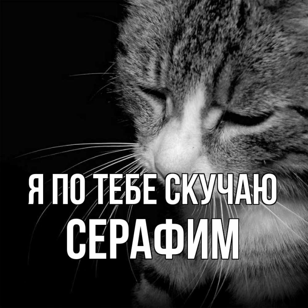 Открытка на каждый день с именем, Серафим Я по тебе скучаю мне скучно Прикольная открытка с пожеланием онлайн скачать бесплатно 