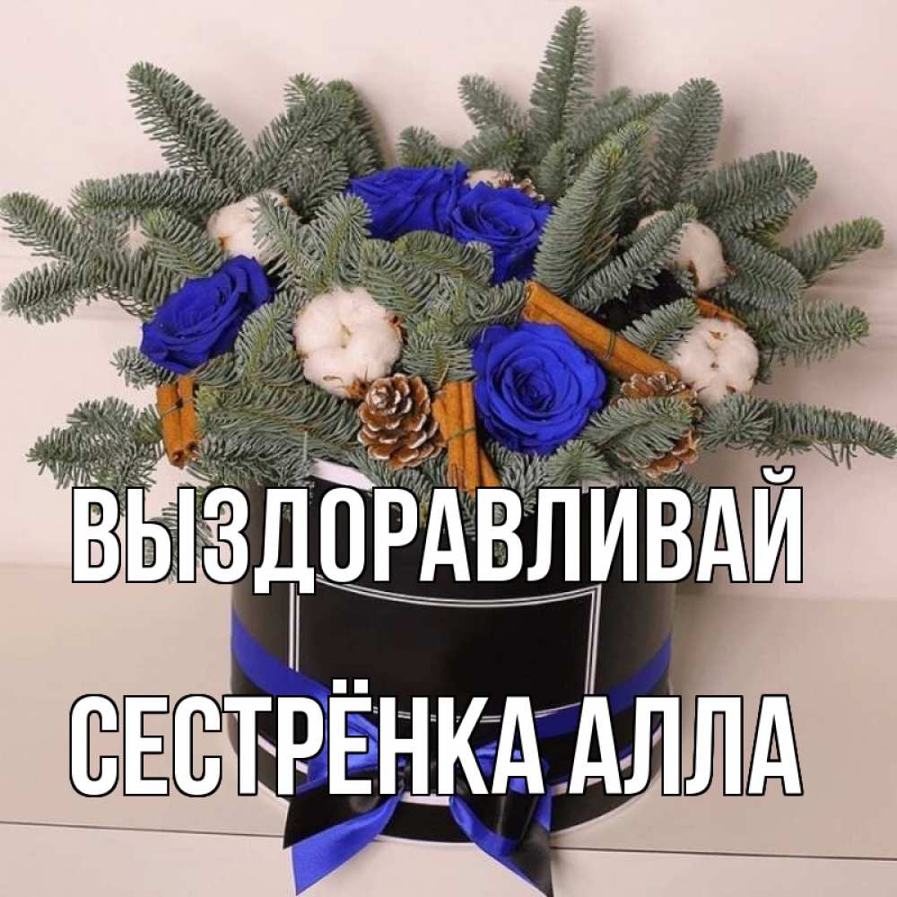 Открытка на каждый день с именем, Сестрёнка-Алла Выздоравливай короче кто то загрузил эти шишки Прикольная открытка с пожеланием онлайн скачать бесплатно 
