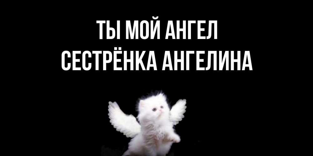 Открытка на каждый день с именем, Сестрёнка-Ангелина Ты мой ангел Кот ангел Прикольная открытка с пожеланием онлайн скачать бесплатно 