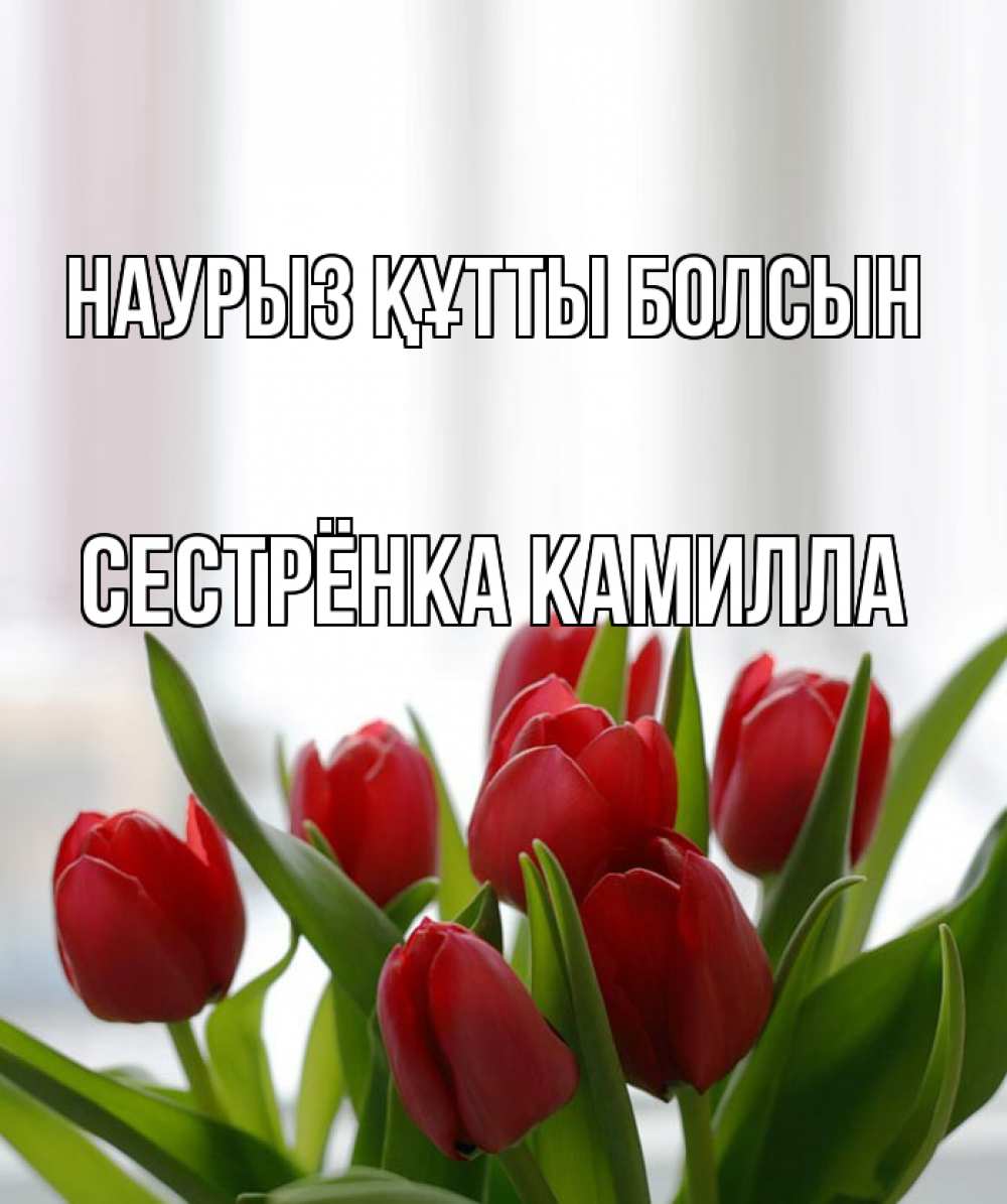 Открытка на каждый день с именем, Сестрёнка-Камилла Наурыз құтты болсын полевые цветы Прикольная открытка с пожеланием онлайн скачать бесплатно 
