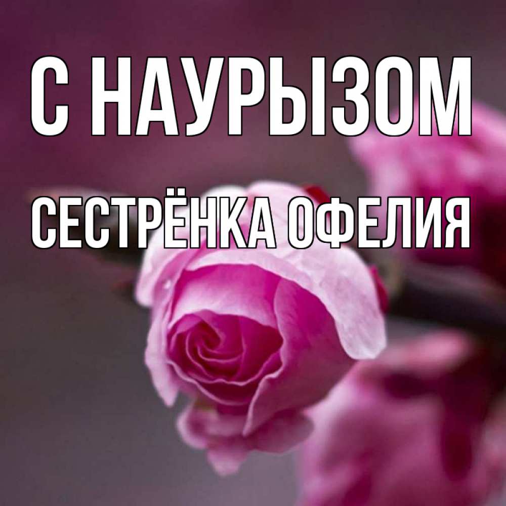 Открытка на каждый день с именем, Сестрёнка-Офелия С наурызом весна Прикольная открытка с пожеланием онлайн скачать бесплатно 