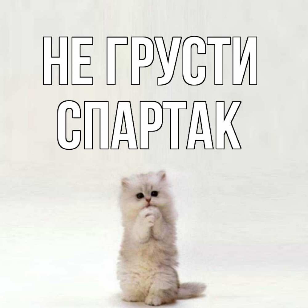 Открытка на каждый день с именем, Спартак Не грусти грустный кот Прикольная открытка с пожеланием онлайн скачать бесплатно 