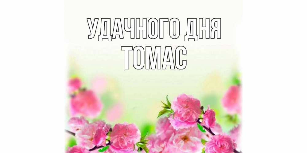 Открытка на каждый день с именем, Томас Удачного дня цветы Прикольная открытка с пожеланием онлайн скачать бесплатно 