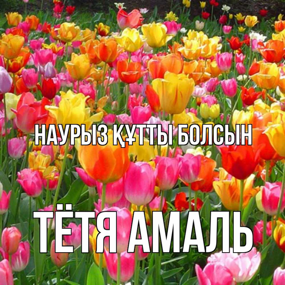 Открытка на каждый день с именем, Тётя-Амаль Наурыз құтты болсын на наурыз  ура ура Прикольная открытка с пожеланием онлайн скачать бесплатно 
