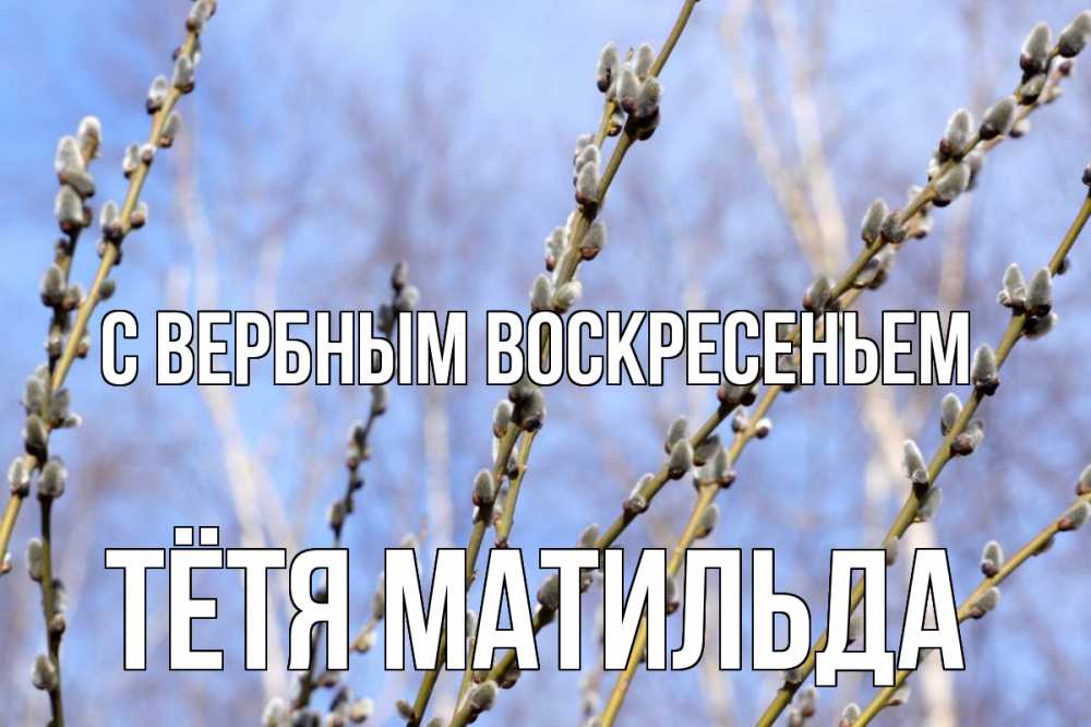 Открытка на каждый день с именем, Тётя-Матильда С вербным воскресеньем верба Прикольная открытка с пожеланием онлайн скачать бесплатно 