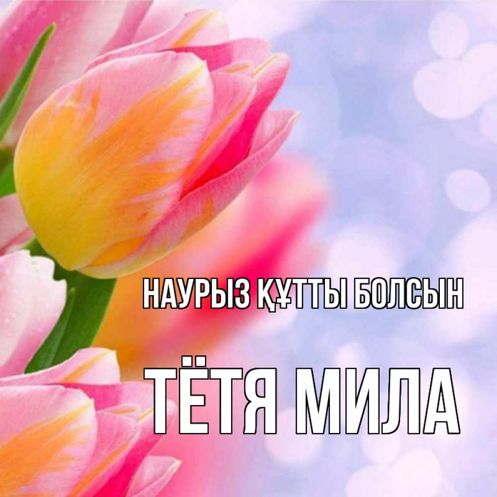 Открытка на каждый день с именем, Тётя-Мила Наурыз құтты болсын тюльпаны 2 Прикольная открытка с пожеланием онлайн скачать бесплатно 