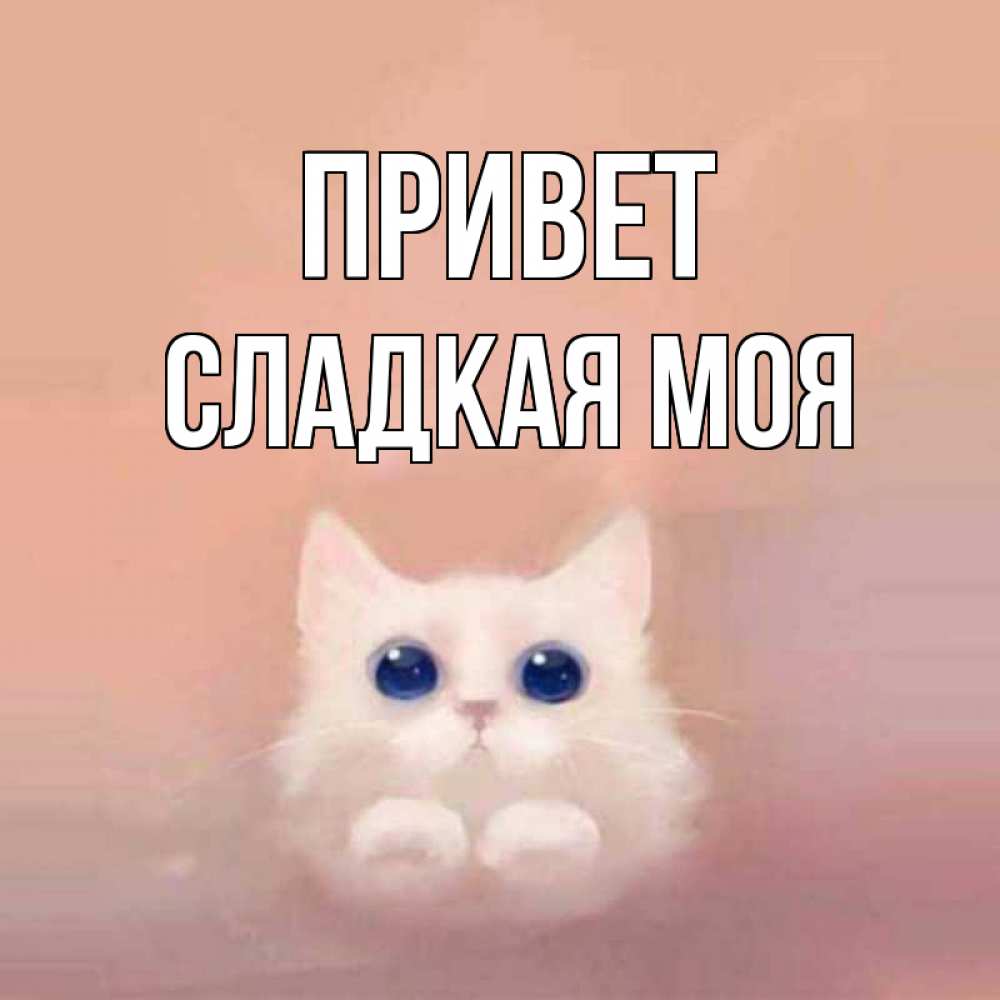 Сладкий мой родной открытки, днем