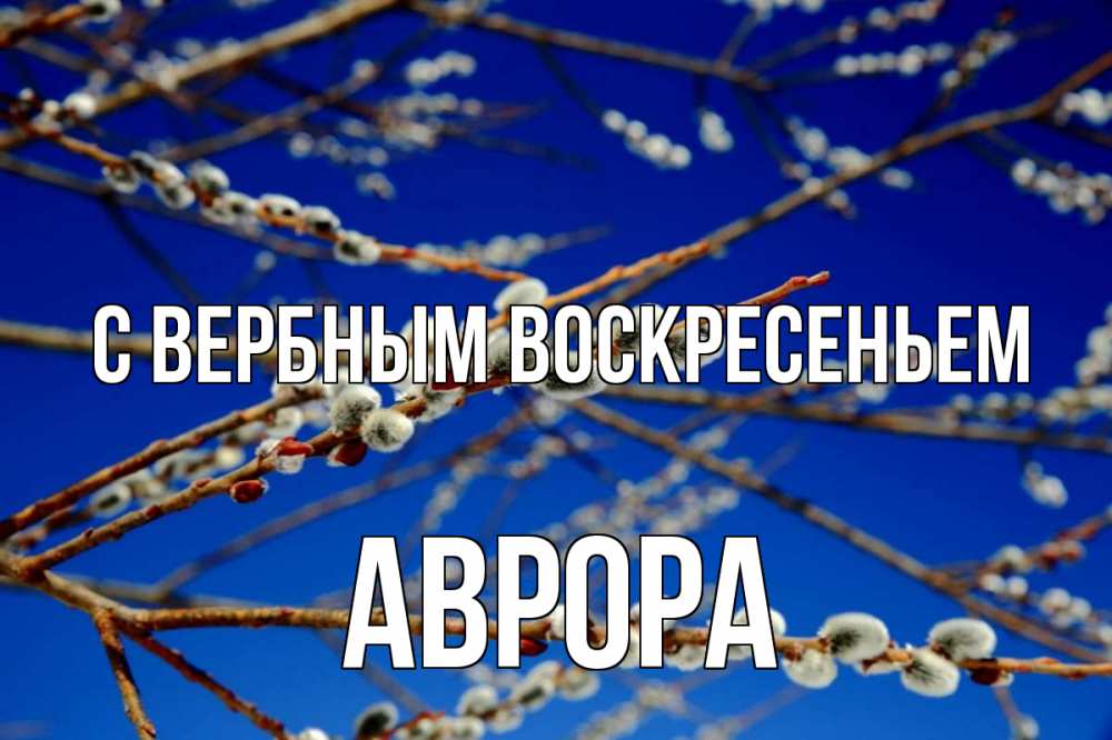 Открытка на каждый день с именем, Аврора С вербным воскресеньем верба Прикольная открытка с пожеланием онлайн скачать бесплатно 