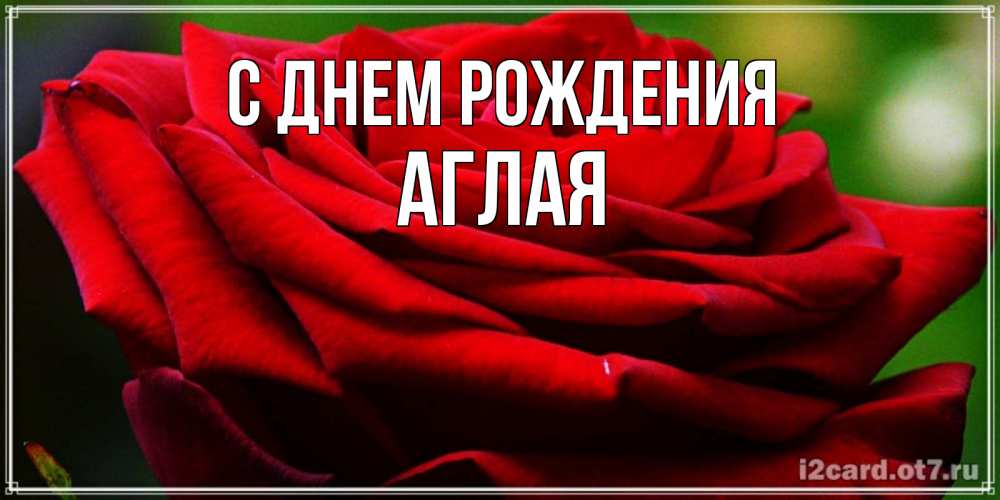 Открытка на каждый день с именем, Аглая С днем рождения розочка очень красивая Прикольная открытка с пожеланием онлайн скачать бесплатно 