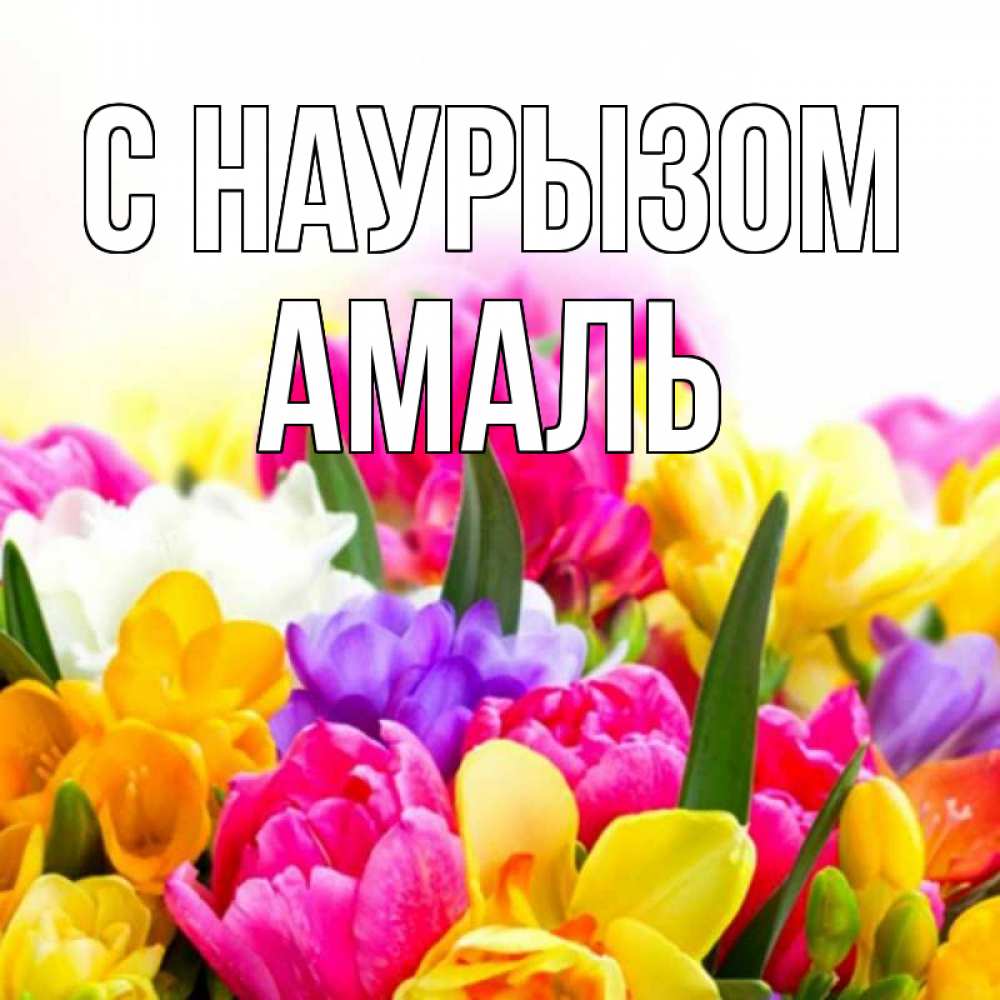 Открытка на каждый день с именем, Амаль С наурызом тюльпаны Прикольная открытка с пожеланием онлайн скачать бесплатно 