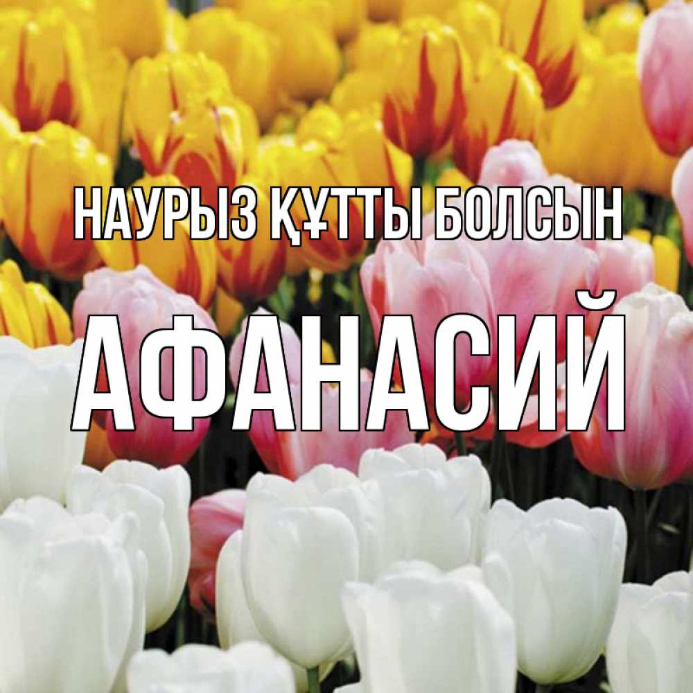 Открытка на каждый день с именем, Афанасий Наурыз құтты болсын разноцветные цветы Прикольная открытка с пожеланием онлайн скачать бесплатно 